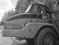 Cat cab RFF web.jpg