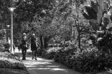 RX100_20120916_0117-3.jpg