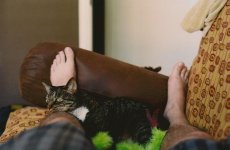 Andy, sleeping on my feet.jpg