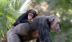 Fuji 400A APS 300F4 14x 4.jpg