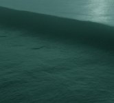 pacific008.jpg