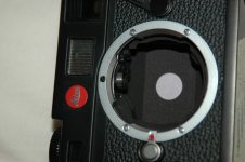 DSC_8045.jpg