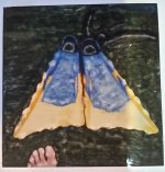 SX 70 Flippers.jpg