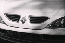 Megane_F1000011.jpg