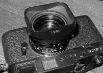 P1010002.JPG