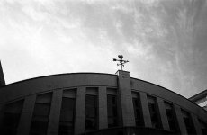 img616.jpg