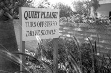 Rollei 35S Delta 100 stereo.jpg