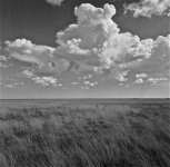 Comanche National Grassland - July of 2009.jpg