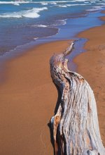Wood and Sand.jpg
