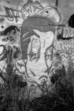 graffiti.jpg