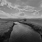 creek near Comanchge National Grassland.jpg