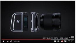 Screen Shot 2019-06-19 at 10.57.18 AM.jpg