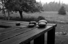 18_heron_gallery_rescan_bw.jpg