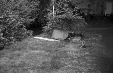 Balda T1004800012.jpg