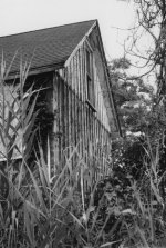 ansco_fp4p_001a.jpg