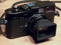 IMG_1569.jpg