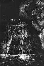pic3.jpg