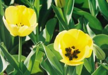 20100412-R1--9.jpg