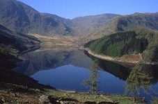 20090722-005 (Small).jpg