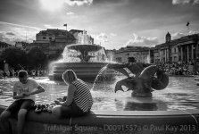D0091557a.jpg