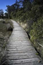 beach boardwalk em.jpg
