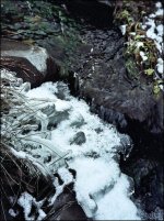 090126-05big.jpg