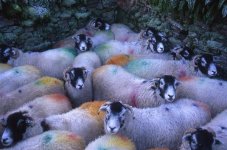 20090221-015 (Small).jpg