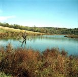 fall_06_wetlands800.jpg