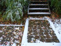 first snow 004 (Medium) (Medium).jpg