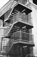 pic7.jpg