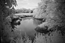 L1001581.jpg