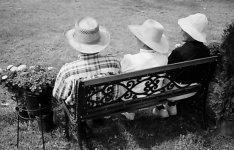 seniors'-bench.jpg