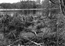 Ames park-005.jpg