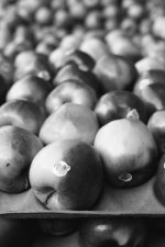 apples.jpg