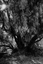 8-31-2007-05 e helios.jpg