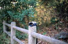 f14 Millennium bokeh.jpg