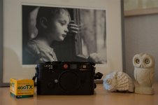 M6TTL_03.jpg