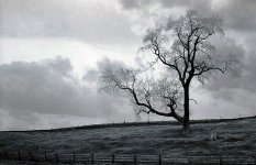 3421003030 aaa copy.jpg