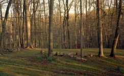 backyard_test.jpg