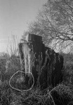 Kodak2_002a.jpg
