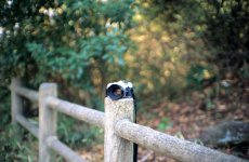 f13 MS-MODE-S bokeh.jpg