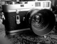 hood -blackberry photo.jpg