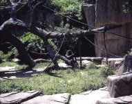 zoo2bb.jpg