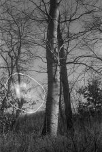 Kodak2_004a.jpg