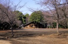 f8 Millennium at infinity.jpg