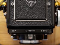 TLR 2.jpg