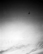 Untitled-3.jpg
