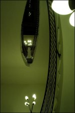 080420-73green.jpg