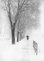 winter stroll 2 (Medium).jpg