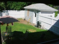 Backyard2.jpg